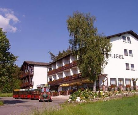 Hotel Igel Puchersreuth Экстерьер фото